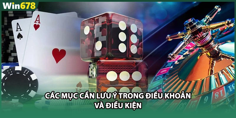 Các mục cần lưu ý trong điều khoản và điều kiện