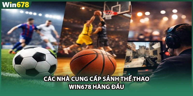 Các nhà cung cấp sảnh thể thao WIN678 hàng đầu