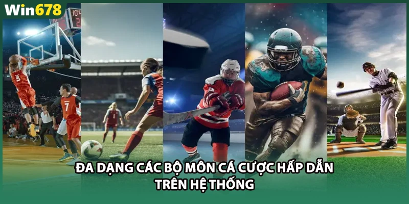 Đa dạng các bộ môn cá cược hấp dẫn trên hệ thống