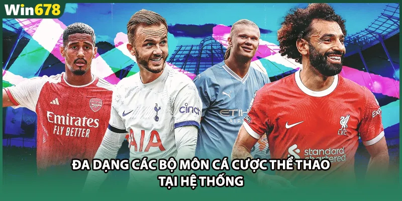 Đa dạng các bộ môn cá cược thể thao tại hệ thống