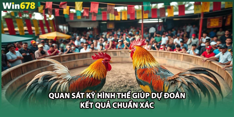 Quan sát kỹ hình thể giúp dự đoán kết quả chuẩn xác