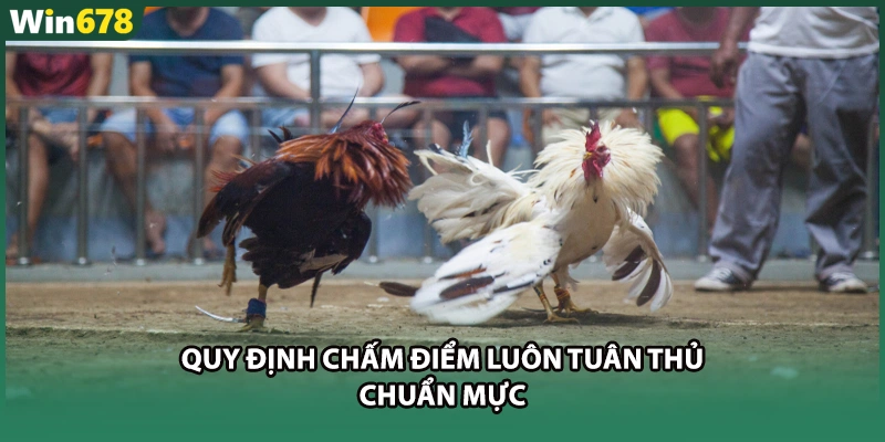 Quy định chấm điểm luôn tuân thủ chuẩn mực