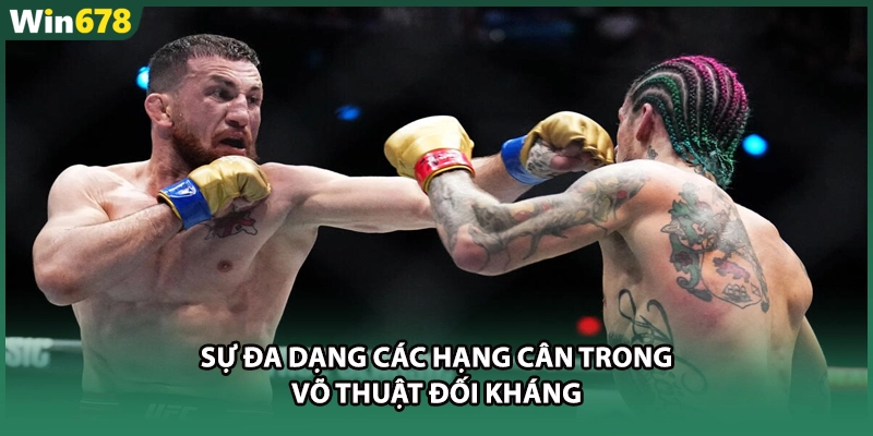Sự đa dạng các hạng cân trong võ thuật đối kháng