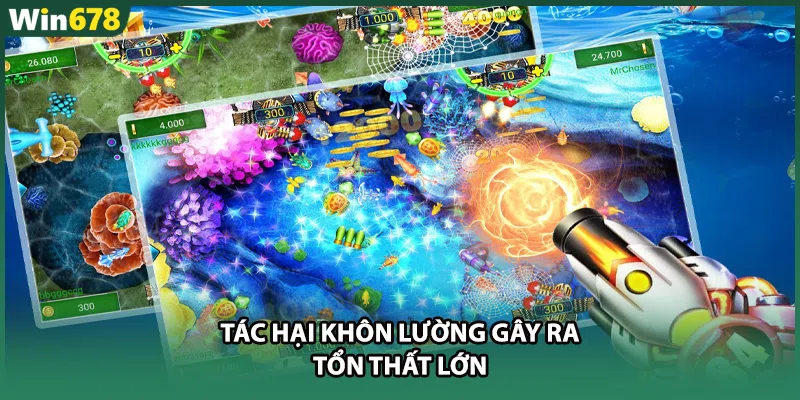 Tác hại khôn lường gây ra tổn thất lớn